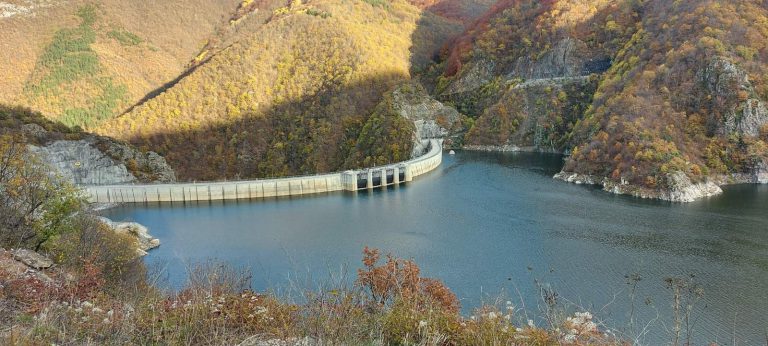 tsankovdam